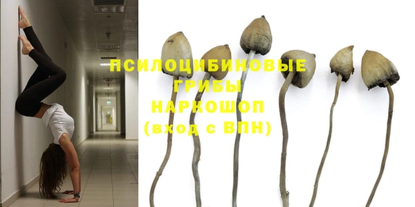 хмурый Покачи