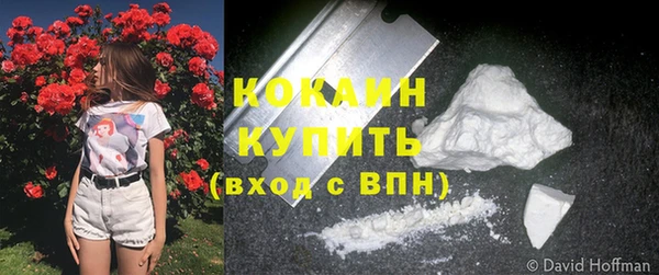 дживик Абинск