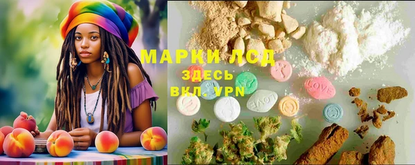 дживик Абинск