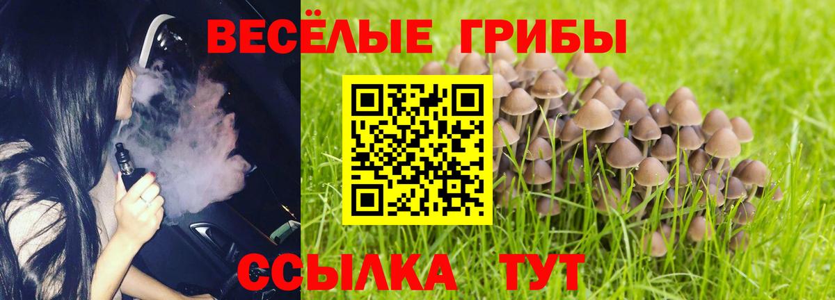 Галлюциногенные грибы Magic Shrooms  Псилоцибиновые грибы прущие грибы  Котовск  Вход с VPN 